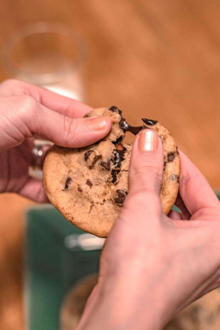 eating a chocolate chip cookie