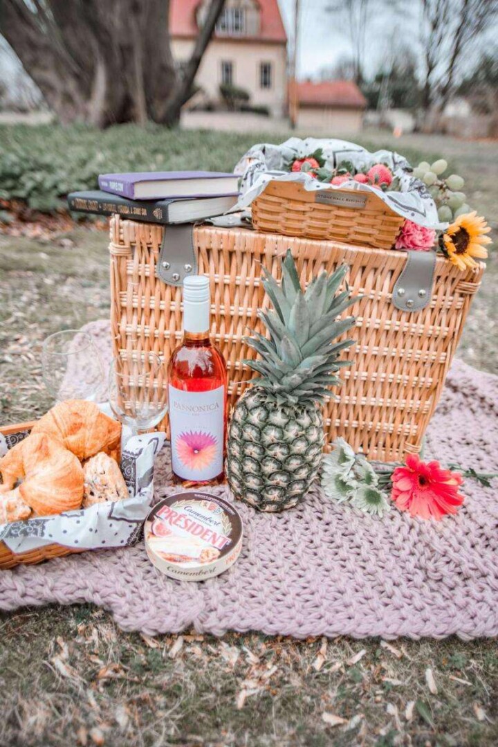 french picnic spread