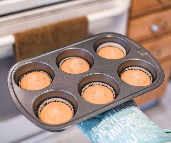 fresh blueberry muffins out of the oven
