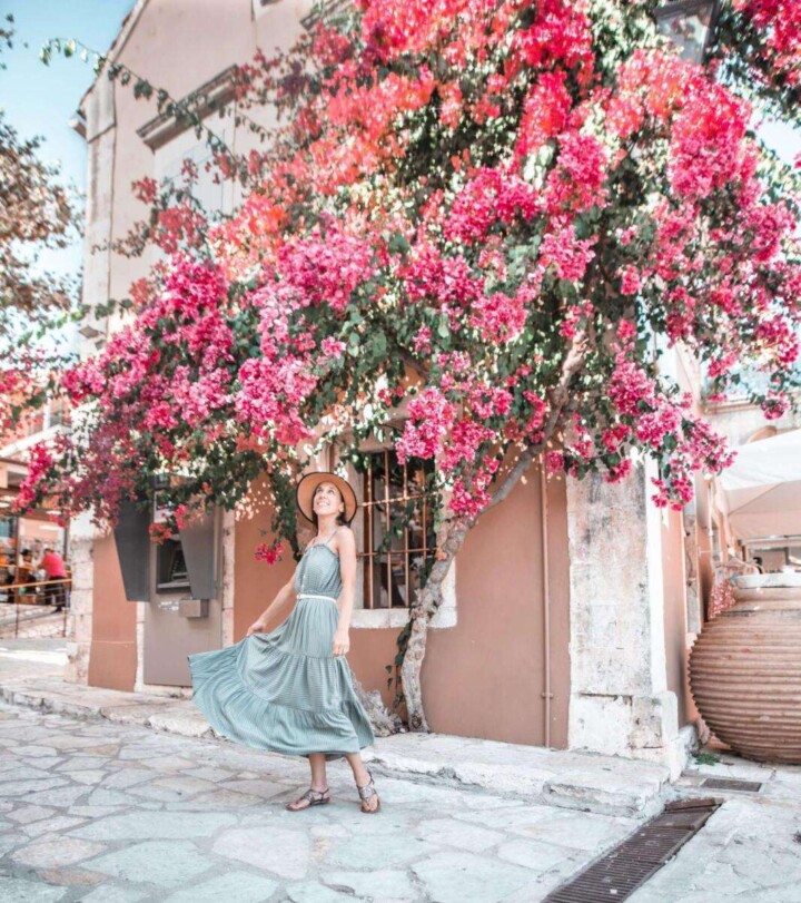 bougainvillea in Fiskardo, Kefalonia
