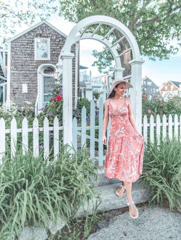 beautiful trellis in Rockport