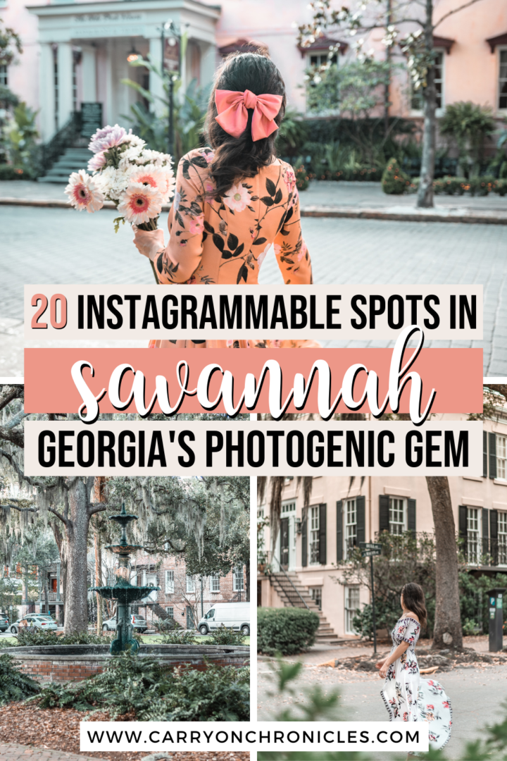 Savannah photo spots
