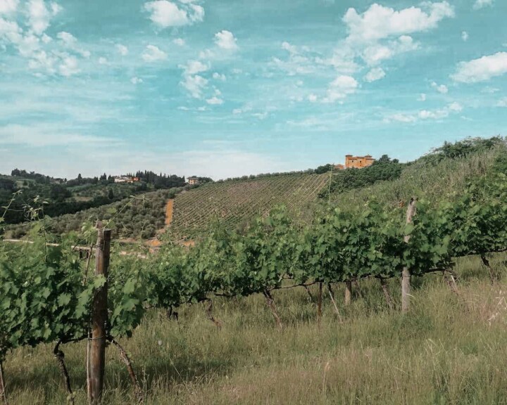 While Tuscany’s capital has plenty to offer, it’s also the perfect jumping off point for fun Florence day trips. So whether you’re traveling from Florence to Siena, exploring historic cities like Arezzo and Cortona, or looking to escape city life with a countryside day trip to Tuscany, you can’t miss these amazing day trips from Florence. Discover 20 famous Italian cities and hidden gems, all within two hours of Florence! #daytripfromflorence #florenceitalydaytrips #tuscanydaytripfromflorence