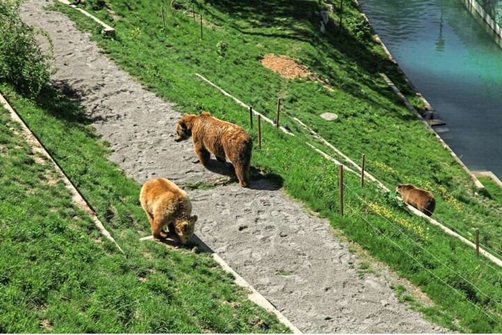 Planning a trip to Switzerland and wondering: “Is Bern worth visiting?” Find out in this helpful guide to the Swiss capital! #bernswitzerland #bernswitzerlandthingstodo